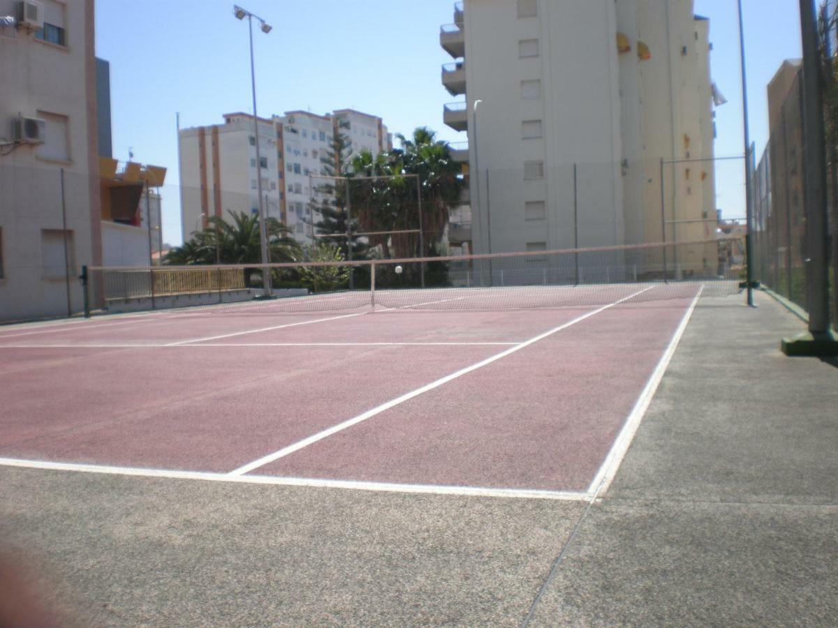 Jardin Ii * Gandía