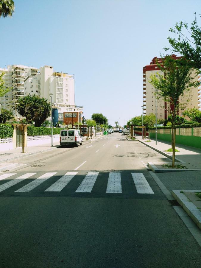 Jardin Ii * Gandia
