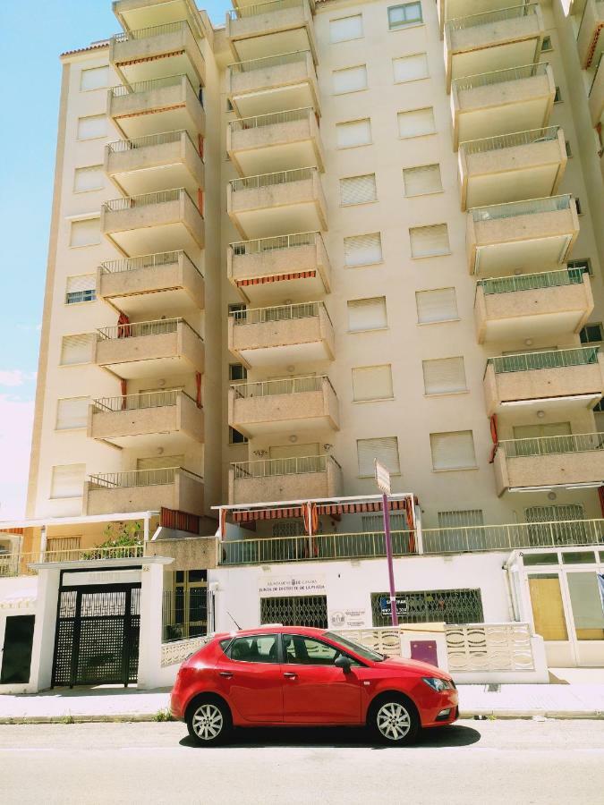 Jardin Ii * Gandia